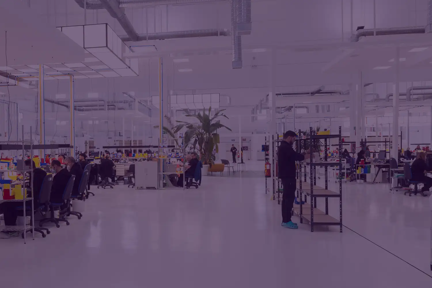 Descripción de la imagen